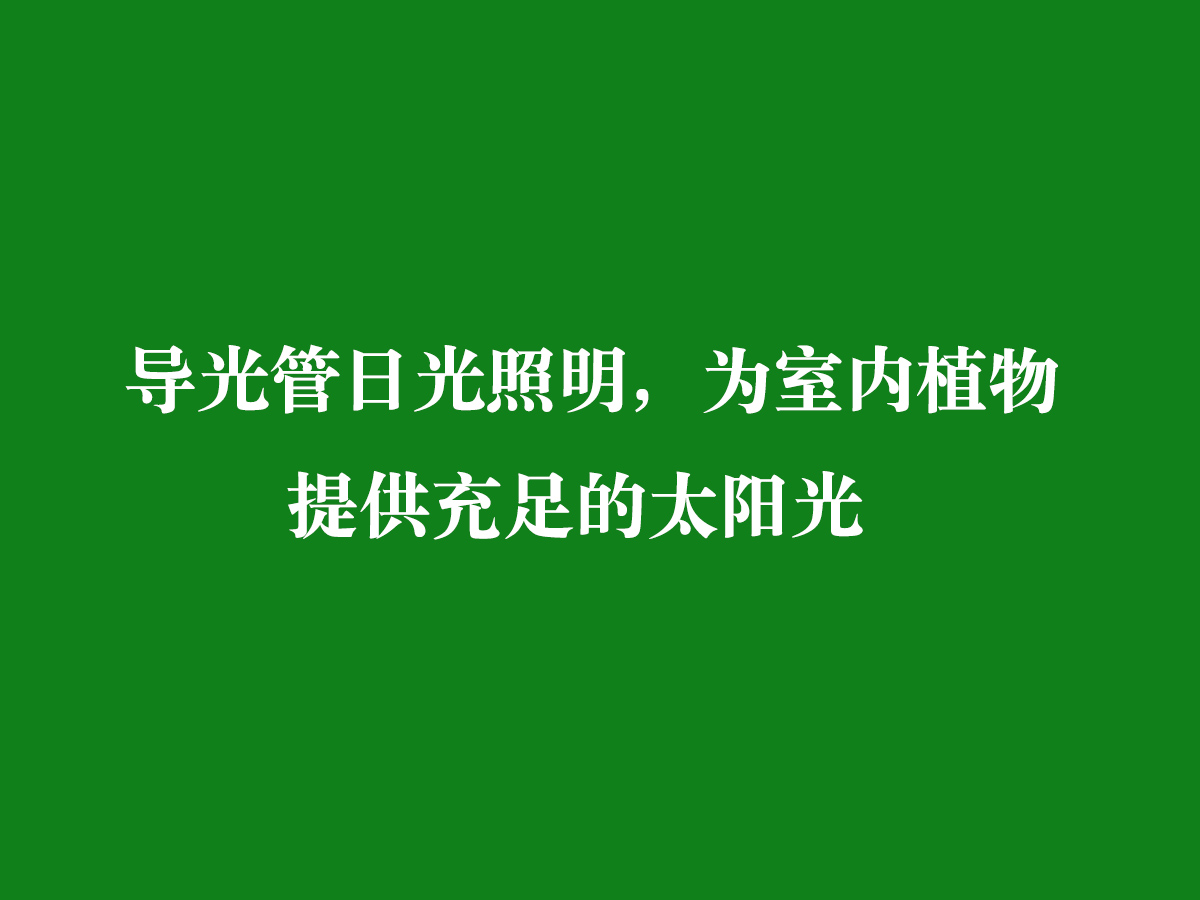 導光管日光照明，為室內(nèi)植物提供充足的太陽光